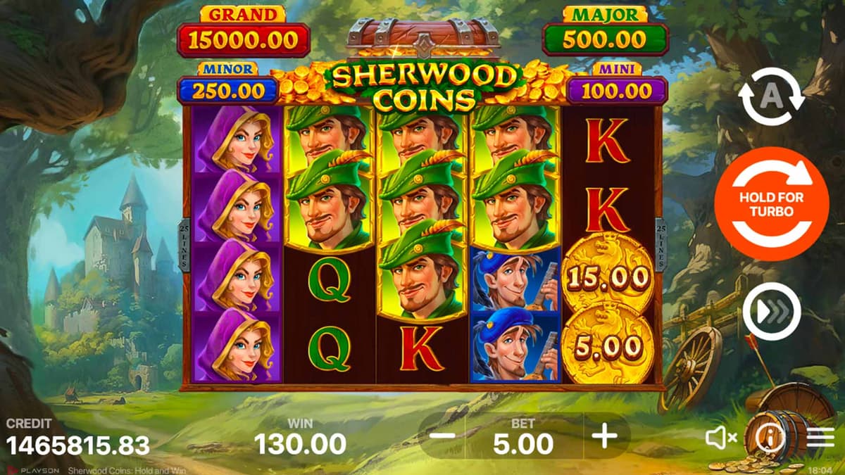 Sherwood Coins: Hold and Win