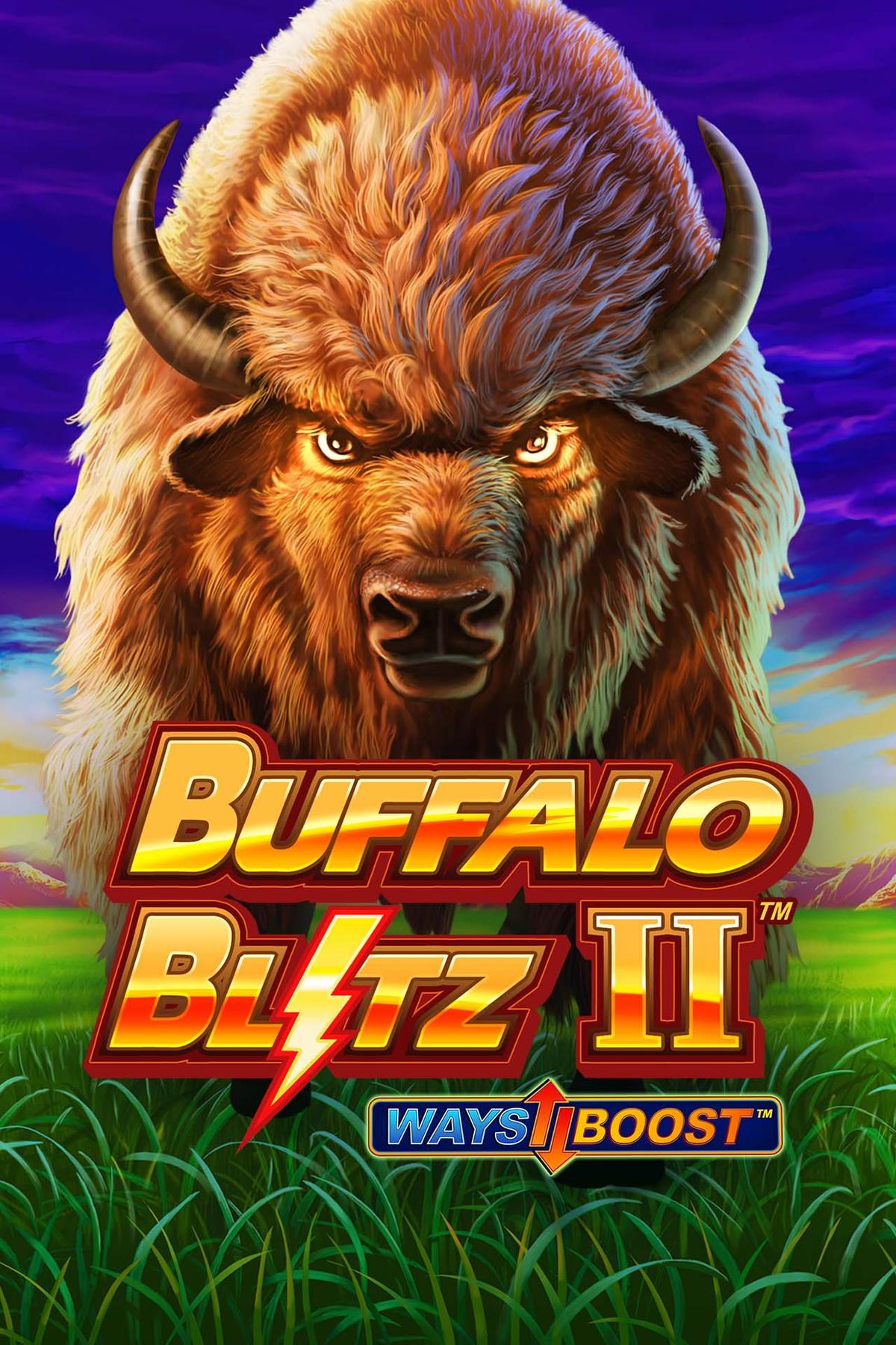 Buffalo Blitz II