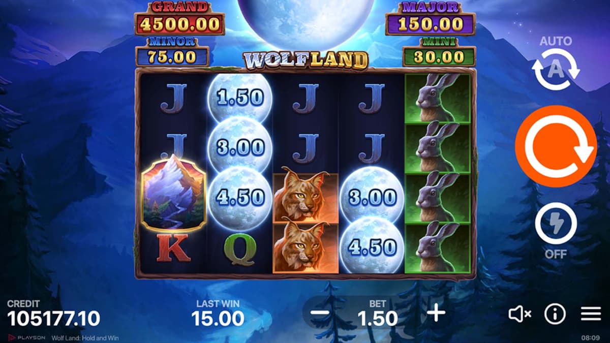 Wolf Land: Hold and Win